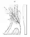 Fig. 09 - PERIODONTAL TREATMENT SYSTEM AND METHOD