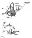 Fig. 07 - Vestibular stimulation systems and methods of use