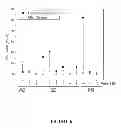 Fig. 07 - METHODS AND COMPOSITIONS FOR DETECTING RARE CELLS FROM A BIOLOGICAL SAMPLE