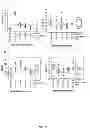 Fig. 11 - USE OF DIVALENT IONS, PROTEASES, DETERGENTS, AND LOW pH IN THE EXTRACTION OF NUCLEIC ACIDS