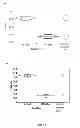 Fig. 14 - USE OF DIVALENT IONS, PROTEASES, DETERGENTS, AND LOW pH IN THE EXTRACTION OF NUCLEIC ACIDS