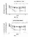 Fig. 08 - PROBE, KIT, AND METHOD FOR DETECTING PATHOGENIC MICROORGANISM