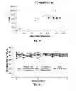 Fig. 10 - PROBE, KIT, AND METHOD FOR DETECTING PATHOGENIC MICROORGANISM