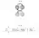 Fig. 03 - Bioprobes and methods of use thereof