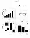 Fig. 07 - Bioprobes and methods of use thereof