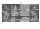 Fig. 08 - Bioprobes and methods of use thereof