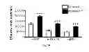 Fig. 07 - Method, probe and kit for DNA in situ hybridization and use thereof