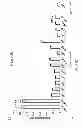 Fig. 33 - Method, probe and kit for DNA in situ hybridization and use thereof