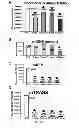 Fig. 45 - Method, probe and kit for DNA in situ hybridization and use thereof