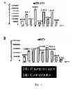 Fig. 46 - Method, probe and kit for DNA in situ hybridization and use thereof