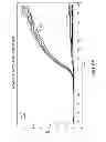 Fig. 08 - Double stranded linear nucleic acid probe