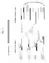 Fig. 02 - Normalization of polymerase activity