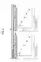 Fig. 09 - Normalization of polymerase activity