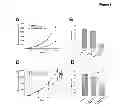 Fig. 07 - Methods for the Treatment, the Prognostic Assessment and the Staging of Non-Small Cell Lung Cancer