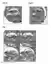 Fig. 06 - EMBRYO QUALITY ASSESSMENT BASED ON BLASTOMERE CLEAVAGE AND MORPHOLOGY