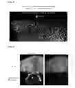 Fig. 07 - METHOD FOR MAKING BIOLOGICAL MATERIAL TRANSPARENT AND USE THEREOF