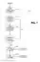 Fig. 02 - Processing biomass