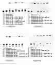 Fig. 06 - AUTOTROPHIC HYDROGEN BACTERIA AND USES THEREOF