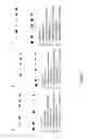 Fig. 07 - AUTOTROPHIC HYDROGEN BACTERIA AND USES THEREOF