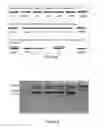 Fig. 08 - AUTOTROPHIC HYDROGEN BACTERIA AND USES THEREOF