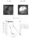 Fig. 08 - COMPLEX AND USES THEREOF