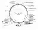 Fig. 02 - OVER EXPRESSION OF FOLDASES AND CHAPERONES IMPROVES PROTEIN PRODUCTION