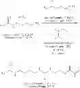 Fig. 22 - Method of making ligand functionalized substrates