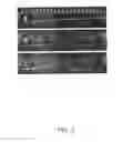 Fig. 08 - Method for providing DNA fragments derived from an archived sample