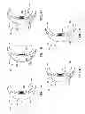 Fig. 02 - In-vitro contact lens testing