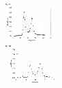 Fig. 06 - METHODS AND COMPOSITIONS FOR PRODUCING VITAMIN K DEPENDENT PROTEINS