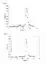 Fig. 07 - METHODS AND COMPOSITIONS FOR PRODUCING VITAMIN K DEPENDENT PROTEINS