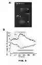 Fig. 22 - OPTICAL CONTROL OF CELL SIGNALING