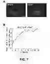 Fig. 30 - OPTICAL CONTROL OF CELL SIGNALING