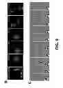 Fig. 37 - OPTICAL CONTROL OF CELL SIGNALING