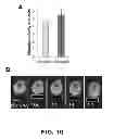 Fig. 40 - OPTICAL CONTROL OF CELL SIGNALING