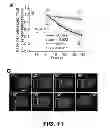 Fig. 45 - OPTICAL CONTROL OF CELL SIGNALING