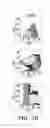 Fig. 11 - Methods for isolating early neurons and neuroblasts