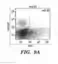 Fig. 16 - Methods for isolating early neurons and neuroblasts