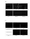 Fig. 03 - Cell culture method and cell culture kit
