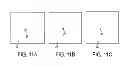 Fig. 09 - Micro blood vessels and tissue ducts