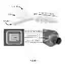 Fig. 33 - Micro blood vessels and tissue ducts