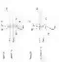 Fig. 09 - APPARATUS AND METHODS FOR PERFORMING OPTICAL NANOPORE DETECTION OR SEQUENCING