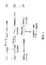 Fig. 02 - Liquid precursor for deposition of copper selenide and method of preparing the same
