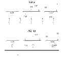 Fig. 07 - Method of manufacturing semiconductor device
