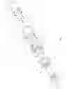 Fig. 02 - Connector having a coupler-body continuity member
