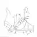 Fig. 01 - Garment having cup part