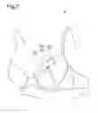 Fig. 08 - Garment having cup part