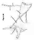 Fig. 06 - Apparatus for nursing and/or hands-free pumping with adjustable crossover cover panels
