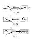 Fig. 03 - Shrimp deheading apparatus and methods