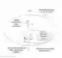 Fig. 01 - METHOD AND APPARATUS OF TEMPORARY LOCAL TRANSMISSION FOR DISASTER INFORMATION DELIVERY